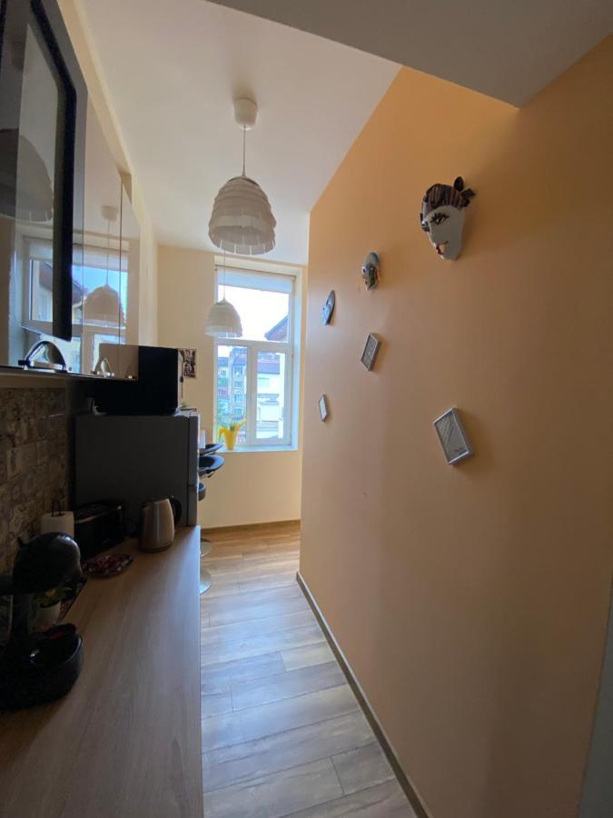 Cozy Apartment In Downtown Sofia - Tsar Samuil Street Exteriér fotografie
